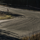 Illustration for article titled CRC 2015 Rally of the Tall Pines Photodump